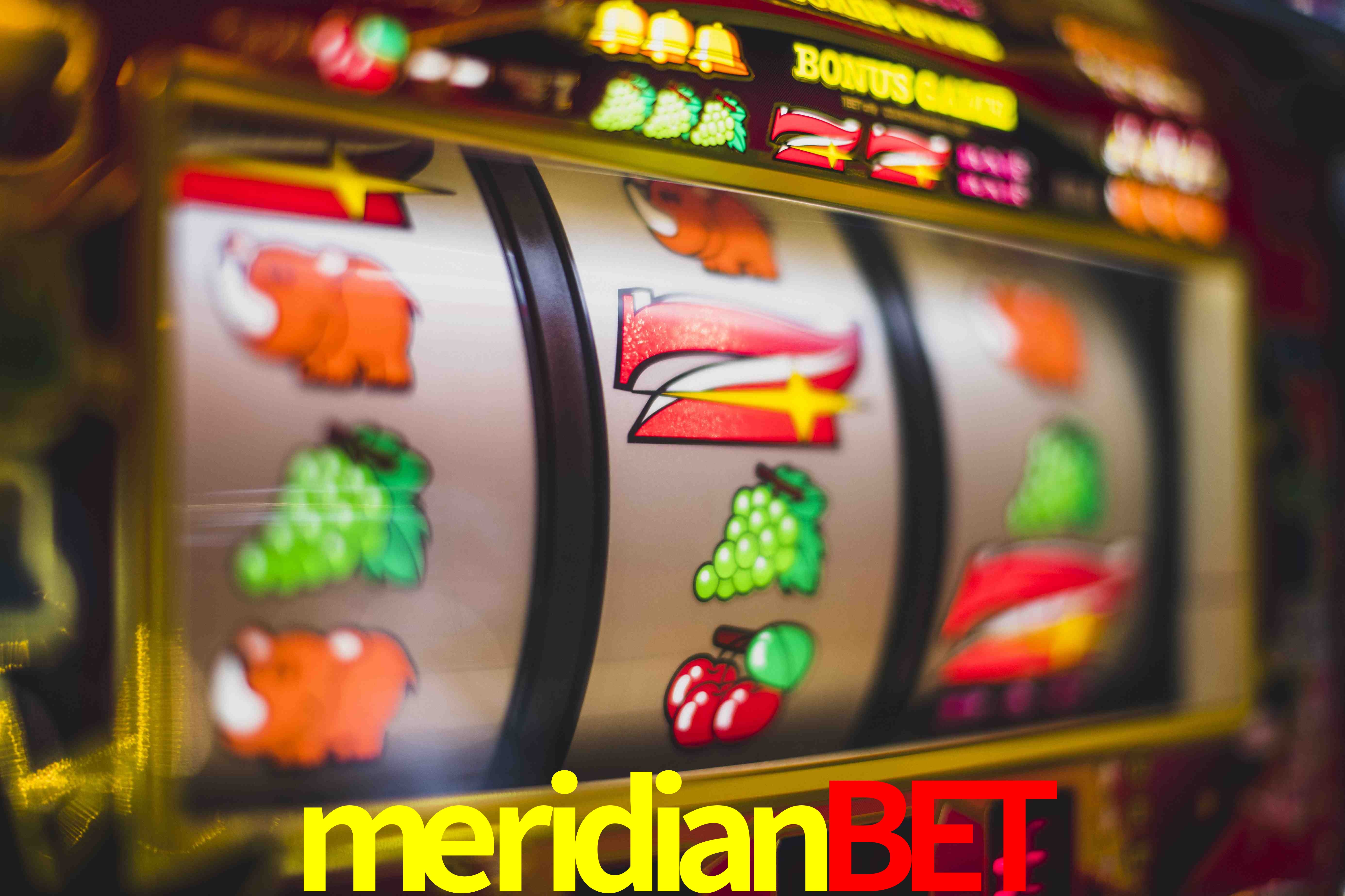Sports Statistics meridianbet